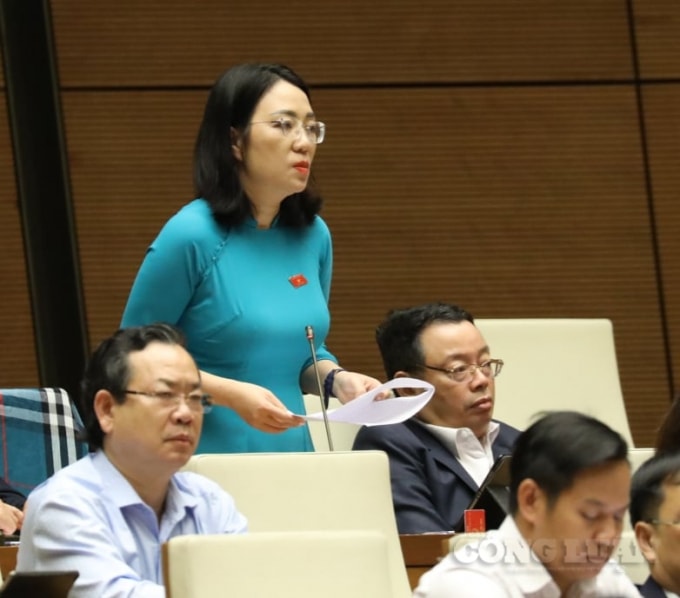 Đại biểu quốc hội Phạm Thị Minh Hiền ( đoàn Phú Yên).
