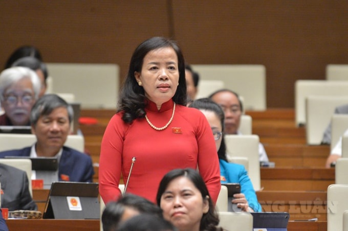 Đại biểu Nguyễn Thị Kim Thúy (đoàn Đà Nẵng).