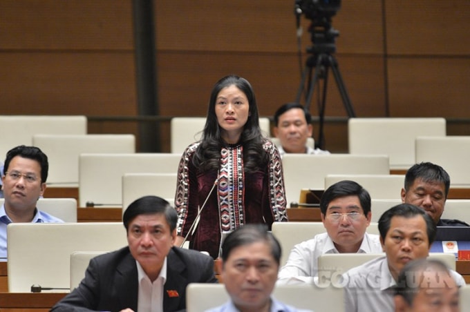 Đại biểu Vương Ngọc Hà (đoàn Hà Giang).