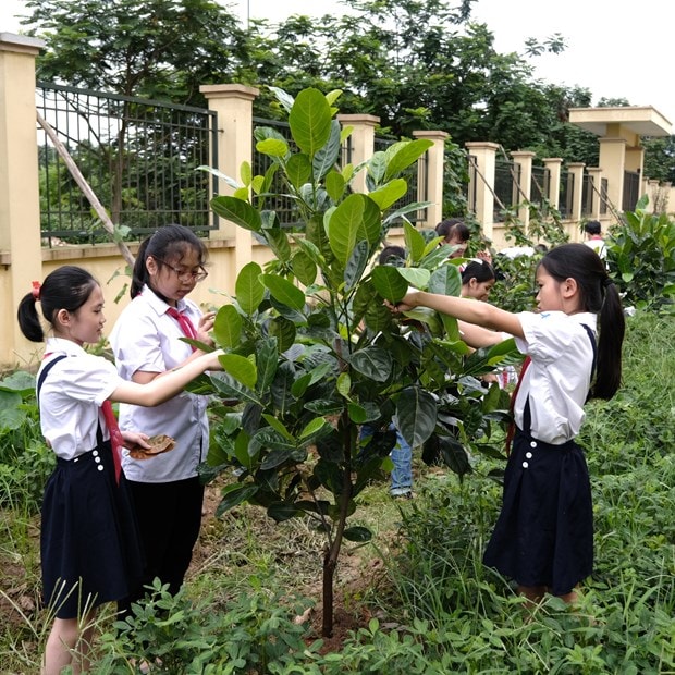 Trồng cây không chỉ để bảo vệ môi trường sống của chúng ta ngày hôm nay mà còn nhằm gìn giữ cho thế hệ tương lai.