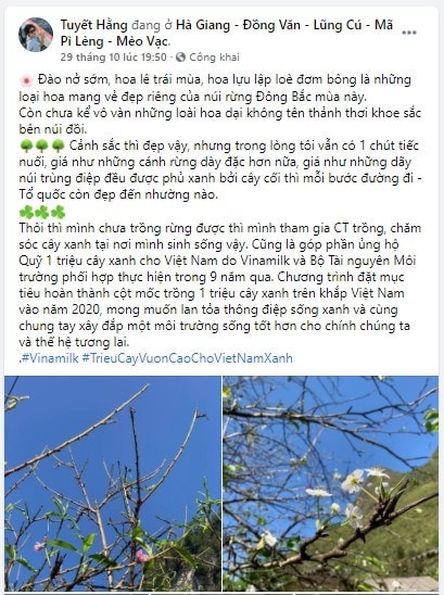 Hình ảnh thiên nhiên tươi đẹp trên bài đăng của chị Tuyết Hằng (Nguồn: Facebook Tuyết Hằng)