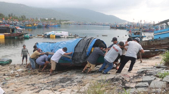 Mọi công tác di dời tàu thuyền trú tránh bão được triển khai nhanh chóng. Ảnh: tienphong.vn