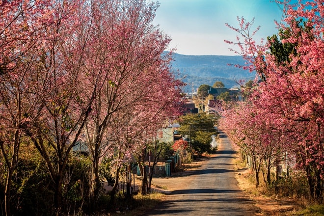 tour da lat