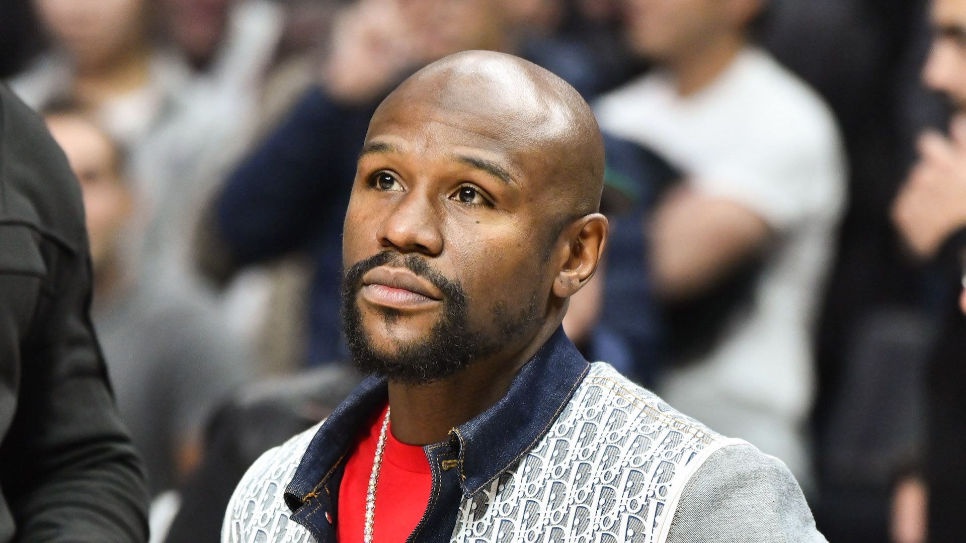 Võ sĩ quyền Anh Floyd Mayweather giành toàn thắng 50 trận trong sự nghiệp thi đấu. Ảnh: TL