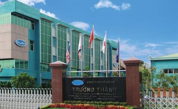 Gỗ Trường Thành phát hành thêm gần 96,6 triệu cổ phiếu niêm yết, từ ngày 20/11/2020