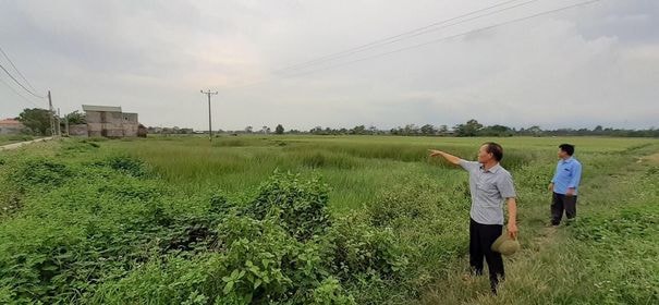 Người dân thôn An Thái bức xúc khi chính quyền xã cho rằng đất canh tác của các hộ dân nhóm 2 là đất công ích.