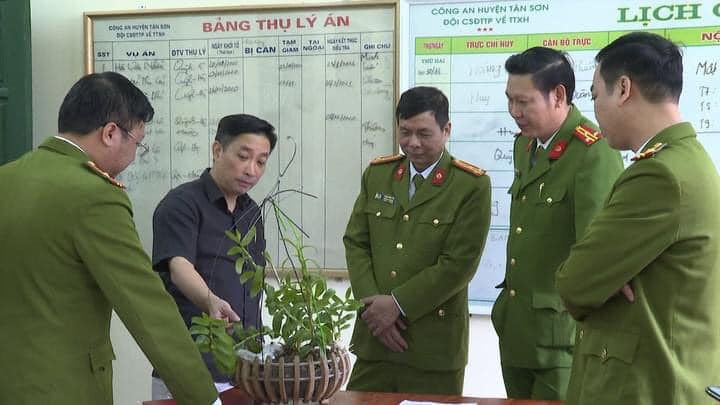 Một trong những giò lan mà các đối tượng biến chúng thành lan đột biến để bán với giá cao được cơ quan điều tra thu giữ.