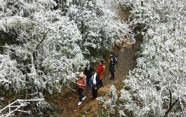 Khu vực vùng núi có thể đón đợt rét đậm đầu tiên từ ngày mai. Ảnh: TL
