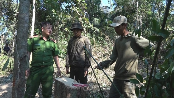 Một số đối tượng phá rừng tại Công ty lâm nghiêp Ea Kar đã bị công an bắt giữ. Ảnh: cand.vn
