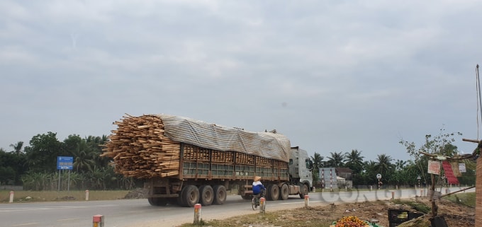 Xe chở keo lưu thông trên đường Sao Vàng- Nghi Sơn vào lúc 9 giờ, ngày 5/12/2020.