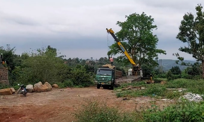 Vị trí đá được tập kết bên cạnh Quốc lộ 14 rồi được đưa lên xe tải để vận chuyển đi tiêu thụ.