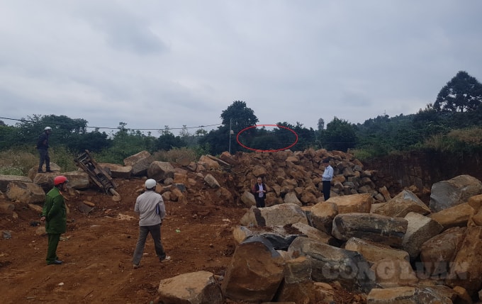 Lực lượng chức năng xã Đức Mạnh xuống kiểm tra tại địa điểm khai thác đá trái phép thì chiếc xe múc đã được di chuyển lên phía trên rẫy của người dân.
