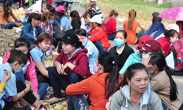 Việc phấn đấu tăng thu, giảm nợ góp phần đảm bảo quyền lợi cho NLĐ