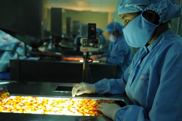 SCIC bán đấu giá 2,9 triệu cổ phần Công ty Thuốc ung thư Benovas. Ảnh minh họa