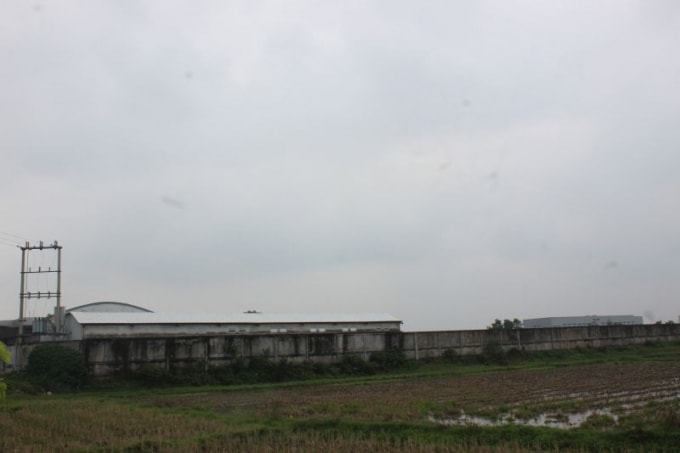 Gần 3,2 ha đất tại xã Thạch Trung, TP Hà Tĩnh đang “chết khô”, lãng phí 10 năm nay