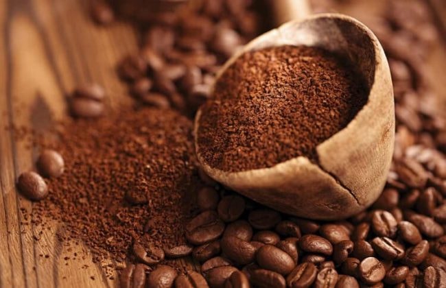 Giá cà phê tiếp tục tăng nhẹ theo đà tăng thế giới. Ảnh: TL.