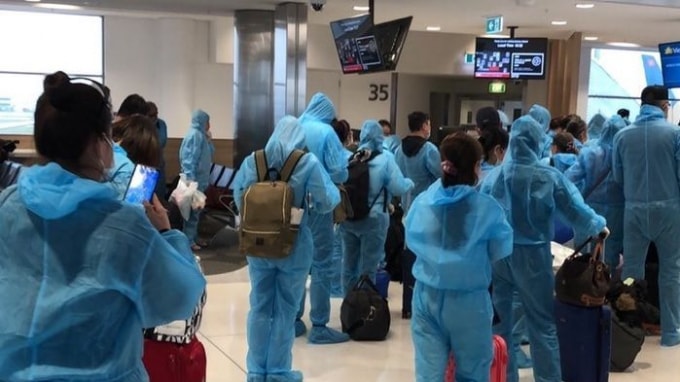 Đã có thêm gần 350 công dân Việt Nam từ châu Âu, châu Phi và Nam Mỹ về nước. Ảnh minh họa