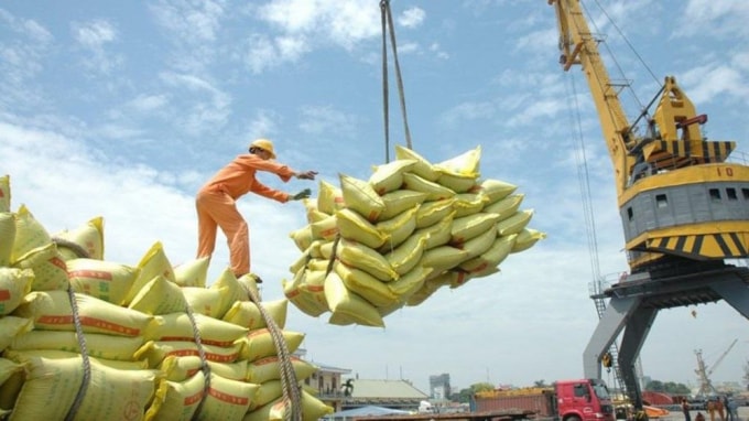 Giá gạo của xuất khẩu của Việt Nam tăng mạnh nhất trong 9 năm qua. Ảnh minh họa