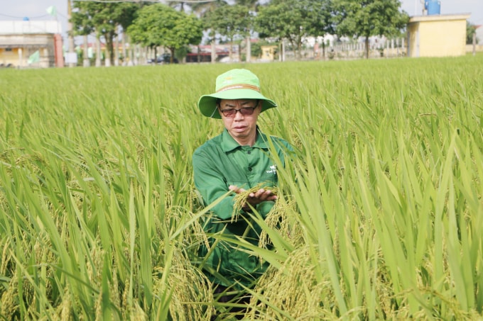 Tháng 12 năm 2020, ông Trần Mạnh Báo được phong tặng danh hiệu cao quý Anh hùng Lao động thời kỳ đổi mới
