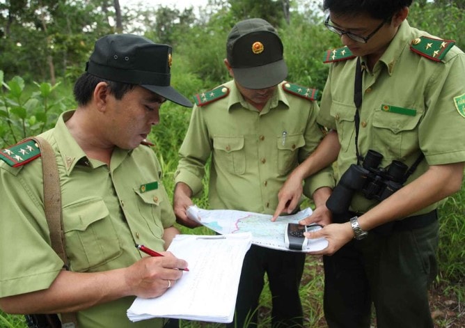 Kiểm lâm viên cũng nằm trong đối tượng phải kê khai tài sản. Ảnh minh họa