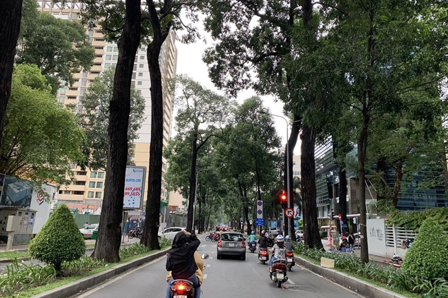 Người dân TP.HCM đi làm trong thời tiết se lạnh. Ảnh: internet