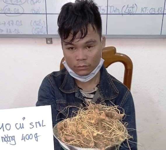 Đối tượng trộm 10 củ sâm Ngọc Linh tai cơ quan công an. Ảnh: CACC