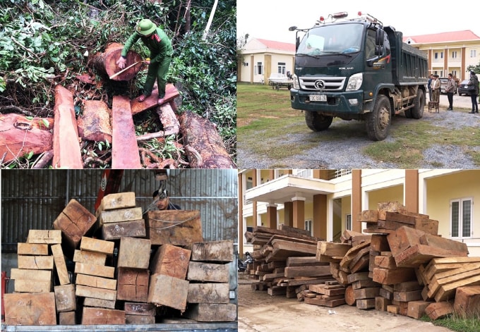 Hiện trường vụ phá rừng và thu giữ hơn 30m3 gỗ quý hiếm
