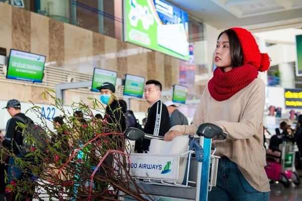 Hành khách có thể vận chuyển cành mai, đào dưới dạng vận chuyển hành lý ký gửi
