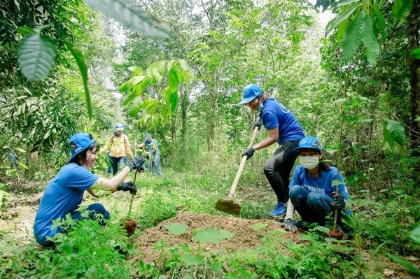 Cơ chế chi trả chỉ số môi trường rừng sẽ giúp người dân sống tốt hơn bằng nghề rừng