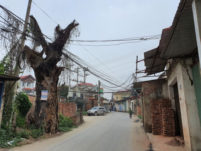 Đất nền ven đô trở thành “ngôi sao”. Ảnh:TL