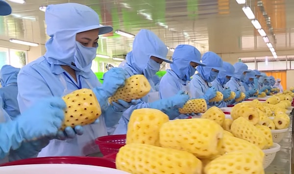Xuất khẩu thực phẩm sang Hàn Quốc vẫn