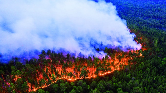 Các vụ cháy rừng ở Siberia bao trùm diện tích bằng nước Bỉ và phát ra tổng lượng khí thải carbon dioxide tương đương với lượng thải ra của Thụy Điển trong 1 tháng.