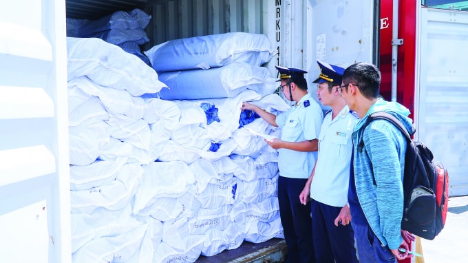 Cán bộ Chi cục Hải quan Cảng Cát Lái thuộc Cục Hải quan Tp Hồ Chí Minh kiểm tra hàng hóa nhập khẩu.