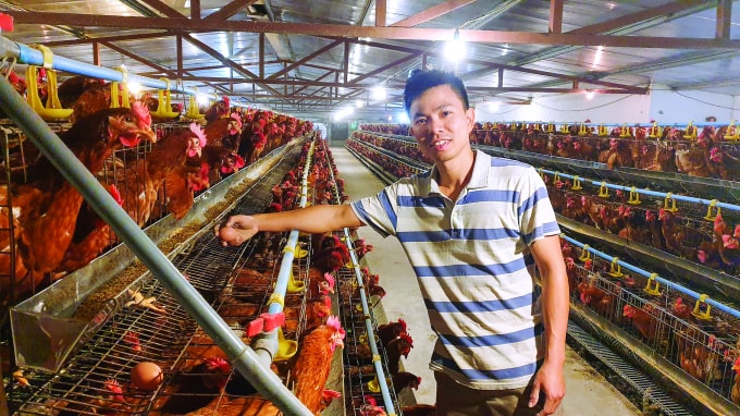 Anh Trần Bùi Nam (xã Mỹ Trung, huyện Mỹ Lộc, tỉnh Nam Định) bên trong trang trại nuôi gà đẻ công nghệ cao của mình.