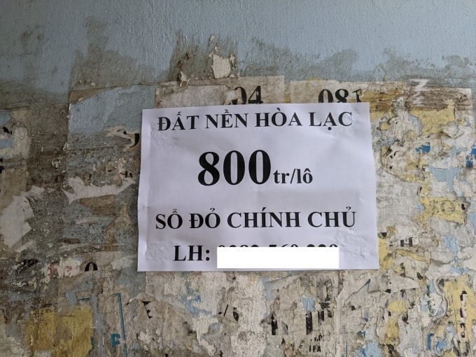 Cò đất cam kết bỏ ra 800 triệu đồng, sau 3 tháng lời 50 triệu đồng.