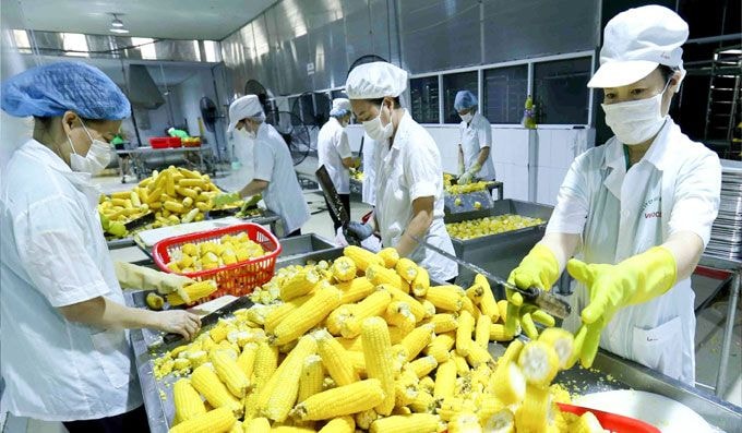 Với nhiều lợi thế, nông sản Việt tràn đầy cơ hội đột phá trong thời gian tới. Ảnh minh họa