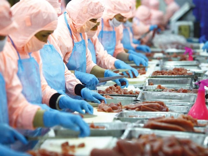 Nhiều 'cửa sáng' cho ngành thủy sản xuất khẩu của Việt Nam sang các thị trường lớn. Ảnh minh họa
