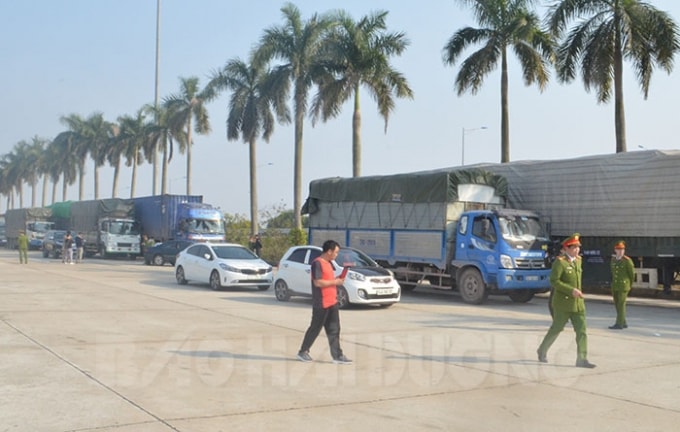 Các xe ô tô chở hàng nhập lậu bị bắt giữ. Ảnh: baohaiduong.vn