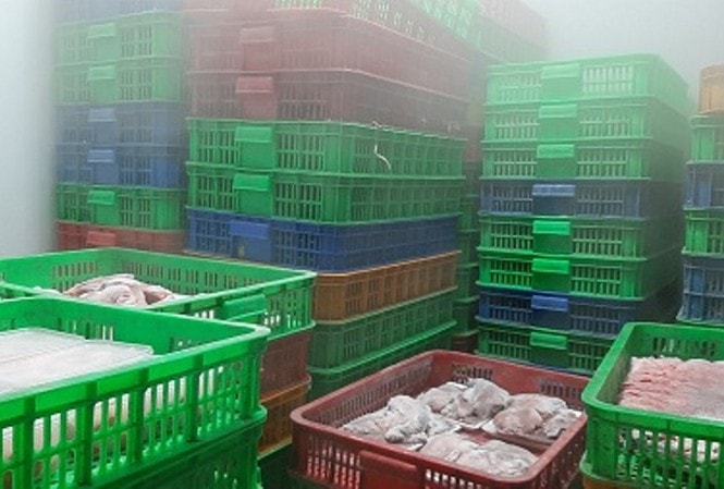Hàng tấn thịt gia súc, gia cầm không rõ nguồn gốc. Ảnh: tienphong.vn