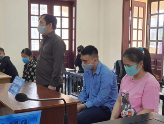 Các đối tượng tại tòa.