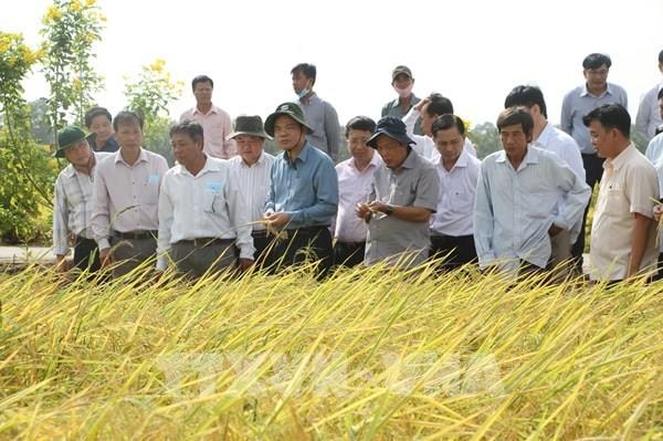 Đoàn công tác của Bộ Nông nghiệp và Phát triển nông thôn do Bộ trưởng Nguyễn Xuân Cường đã về thăm, kiểm tra tình hình sản xuất vụ Đông Xuân năm 2021 tại tỉnh Sóc Trăng.