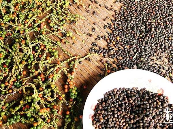 Thị trường tiêu đen toàn cầu đang