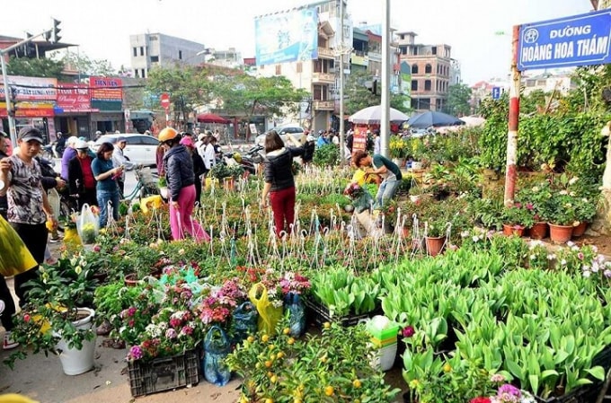 cho-hoa-hoang-hoa-tham