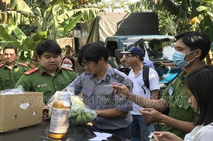 Lực lượng chức năng lập biên bản, thu mẫu chuối và chai thuốc