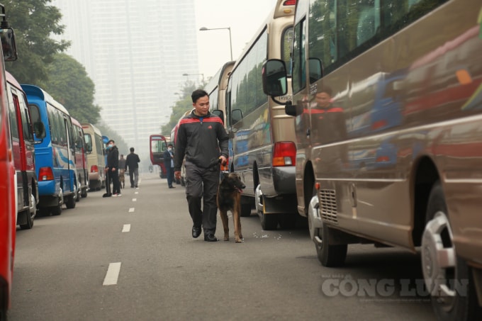 Chó nghiệp vụ cũng được huy động phục vụ cho công tác kiểm tra.