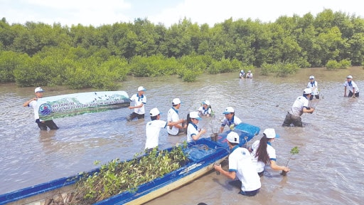 Việt Nam đã có nhiều nỗ lực trong ứng phó với biến đổi khí hậu thời gian qua.