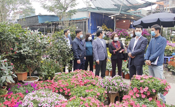 Đoàn khảo sát tại chợ hoa Xuân Vạn Phúc, quận Hà Đông