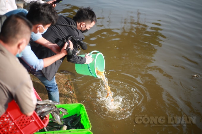 Hơn 1 tấn cá được người dân đưa vào chùa làm lễ sau đó mang ra sông Sài Gòn để thả trong sáng nay.