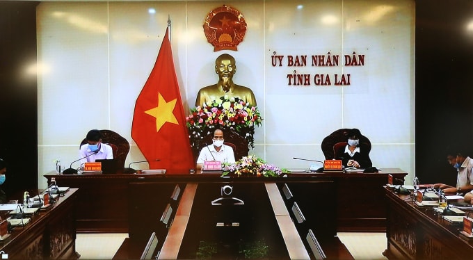 Đại diện tỉnh Gia Lai tại cuộc họp.