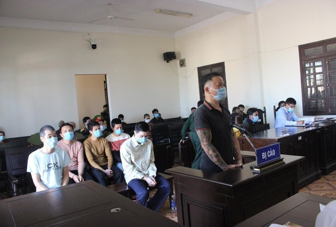 Lãnh án tù vì hủy hoại rừng thông trên địa huyện Đắk Song. Ảnh: tienphong.vn
